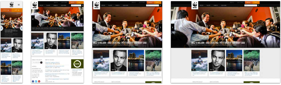 The World Wildlife Fund website